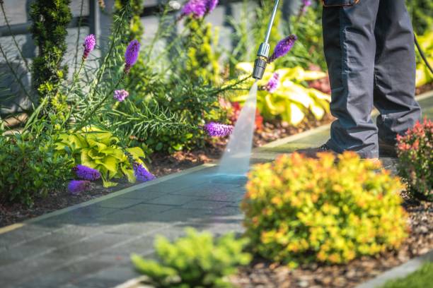 Best Restaurant Pressure Washing  in Manson, IA