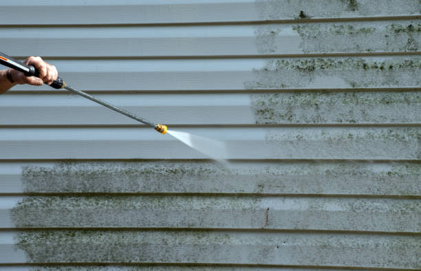 Best Gutter Cleaning  in Manson, IA
